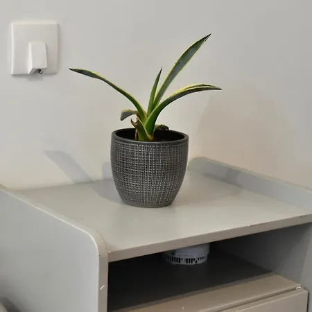 Apartment La Domus Lemaitre 8 - Formule Eco -parking - Wifi - Autoroute